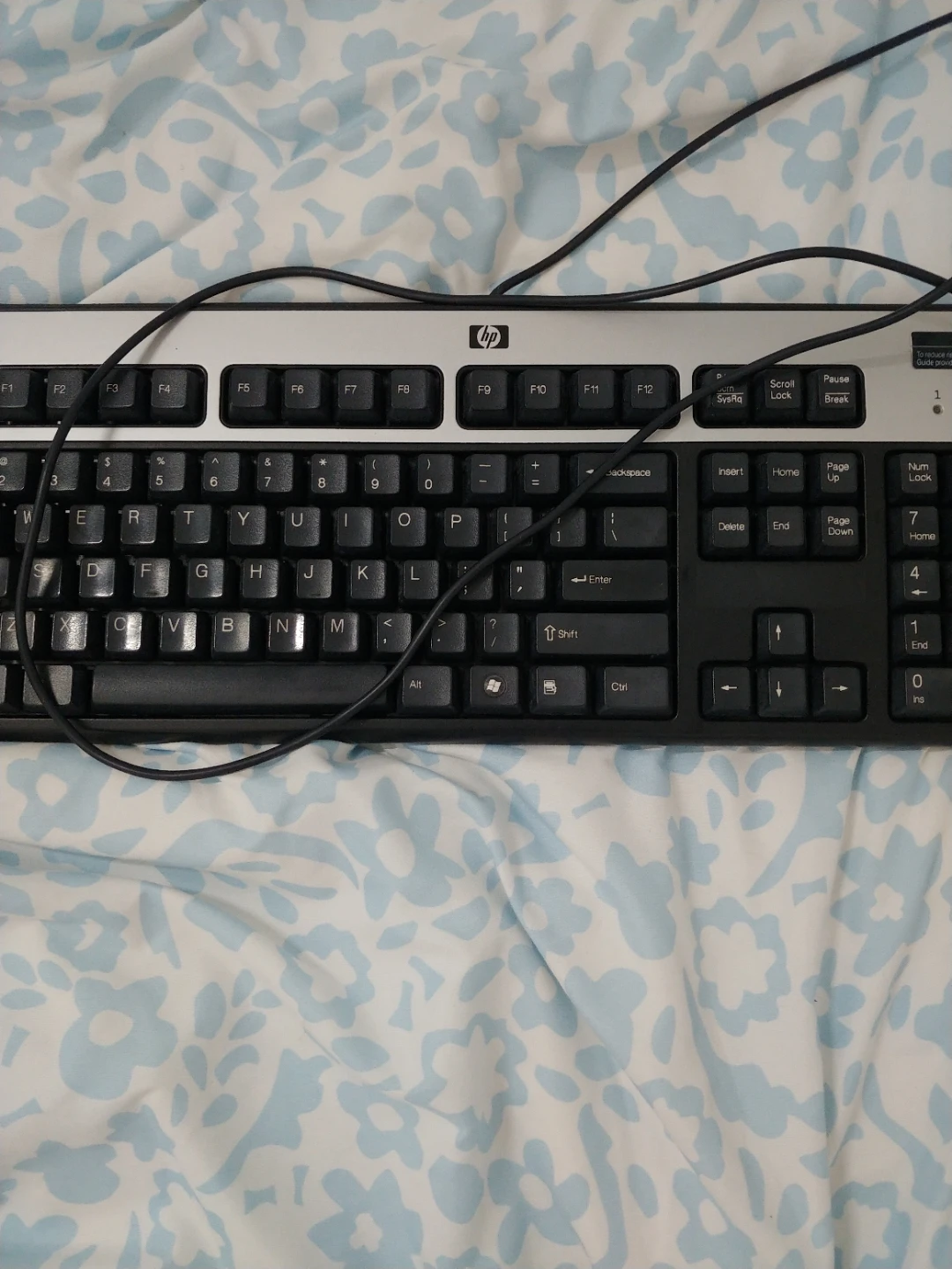HP KU-0316 Wired Keyboard