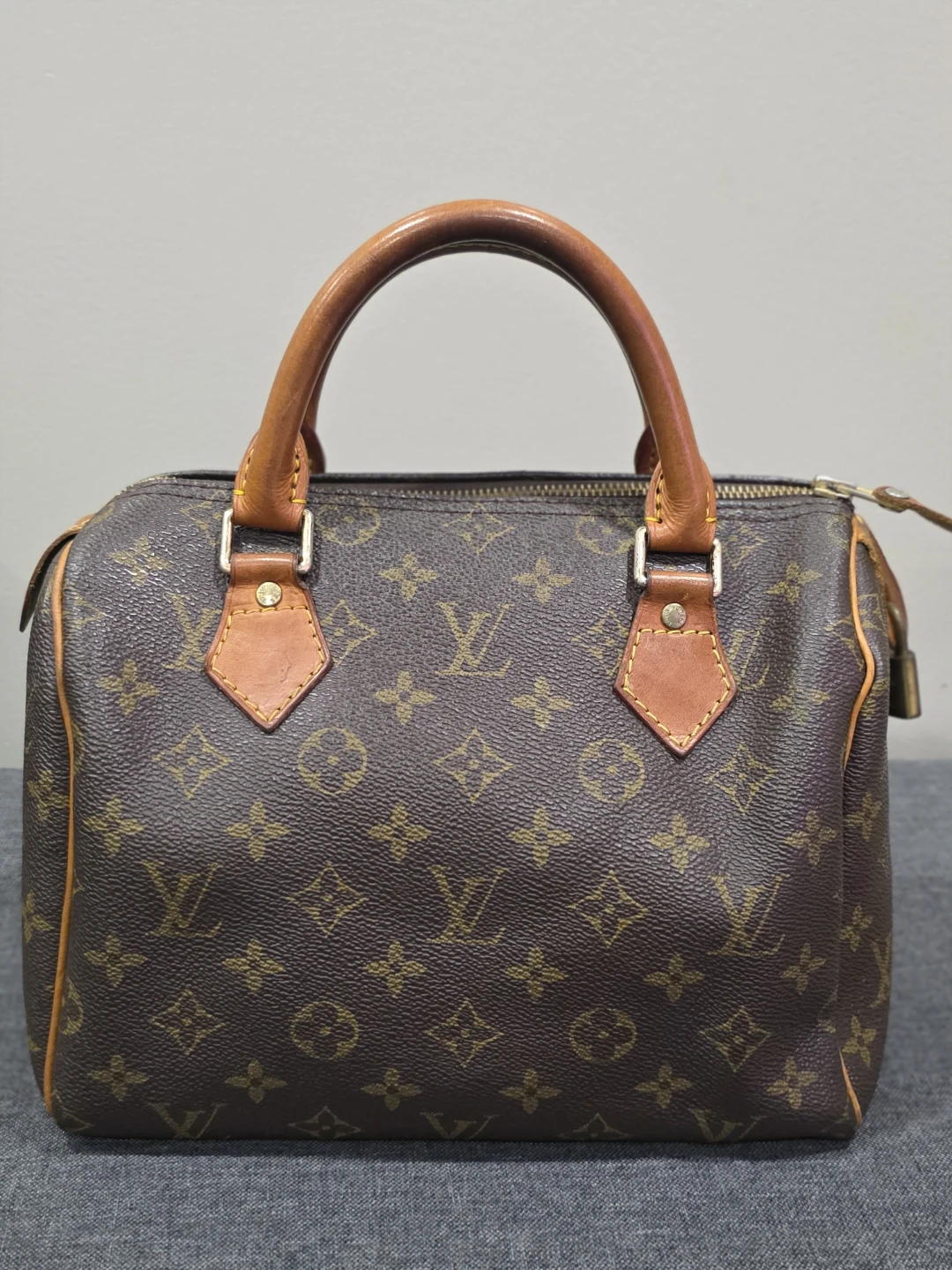 Louis Vuitton Speedy 25 Handbag