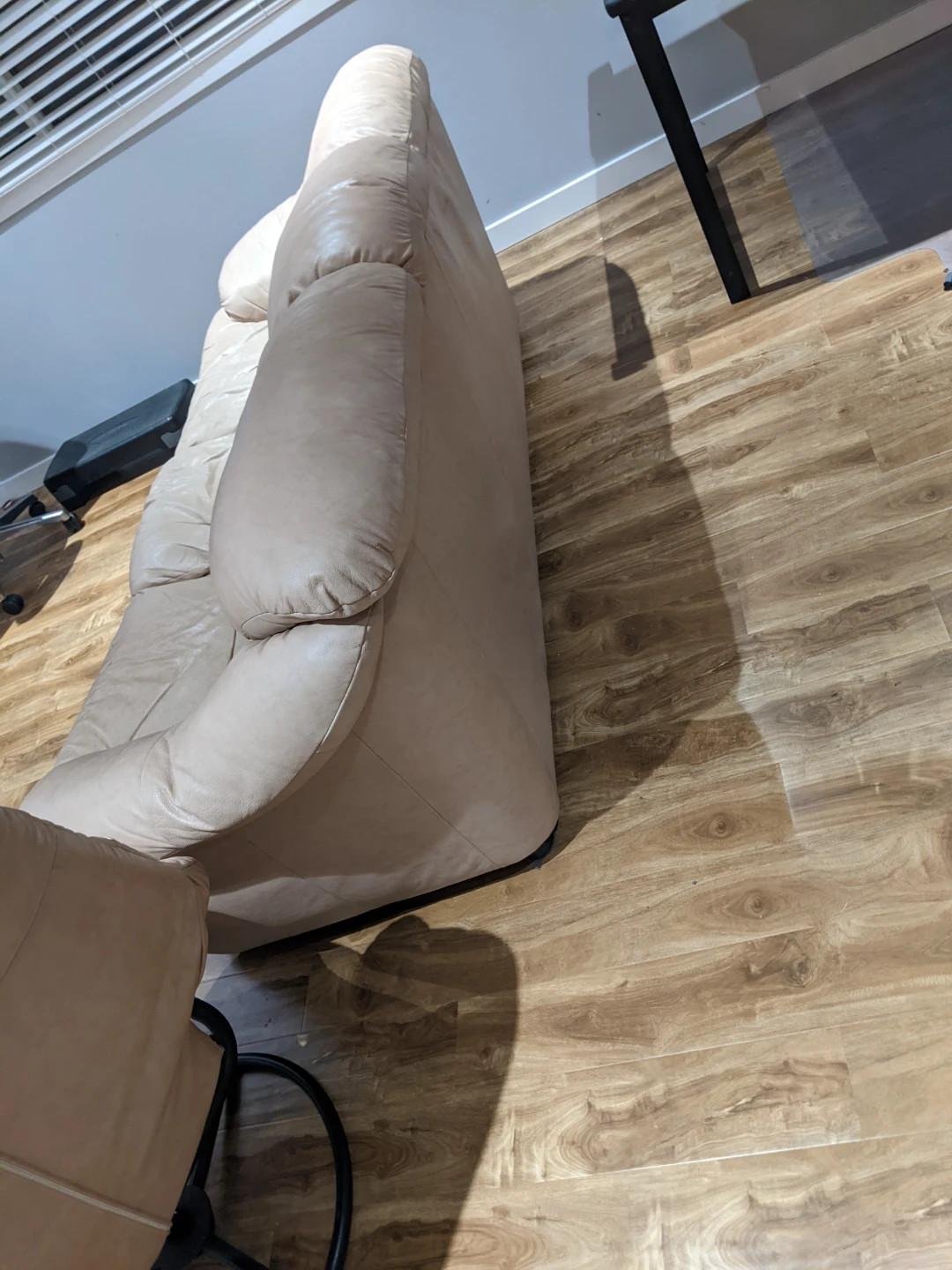 Couch and chair - photo 3