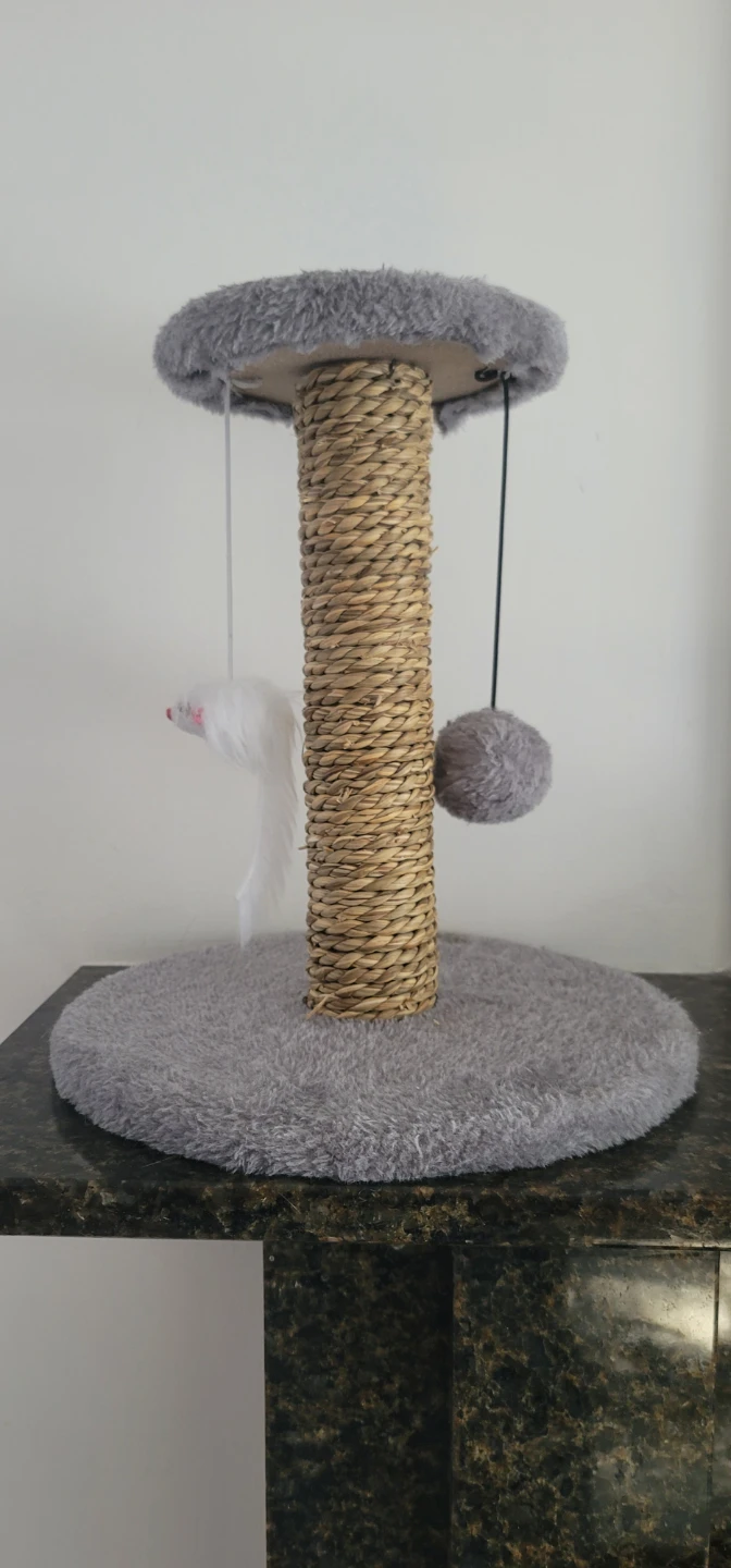 Kitty Scratching Post with Toys