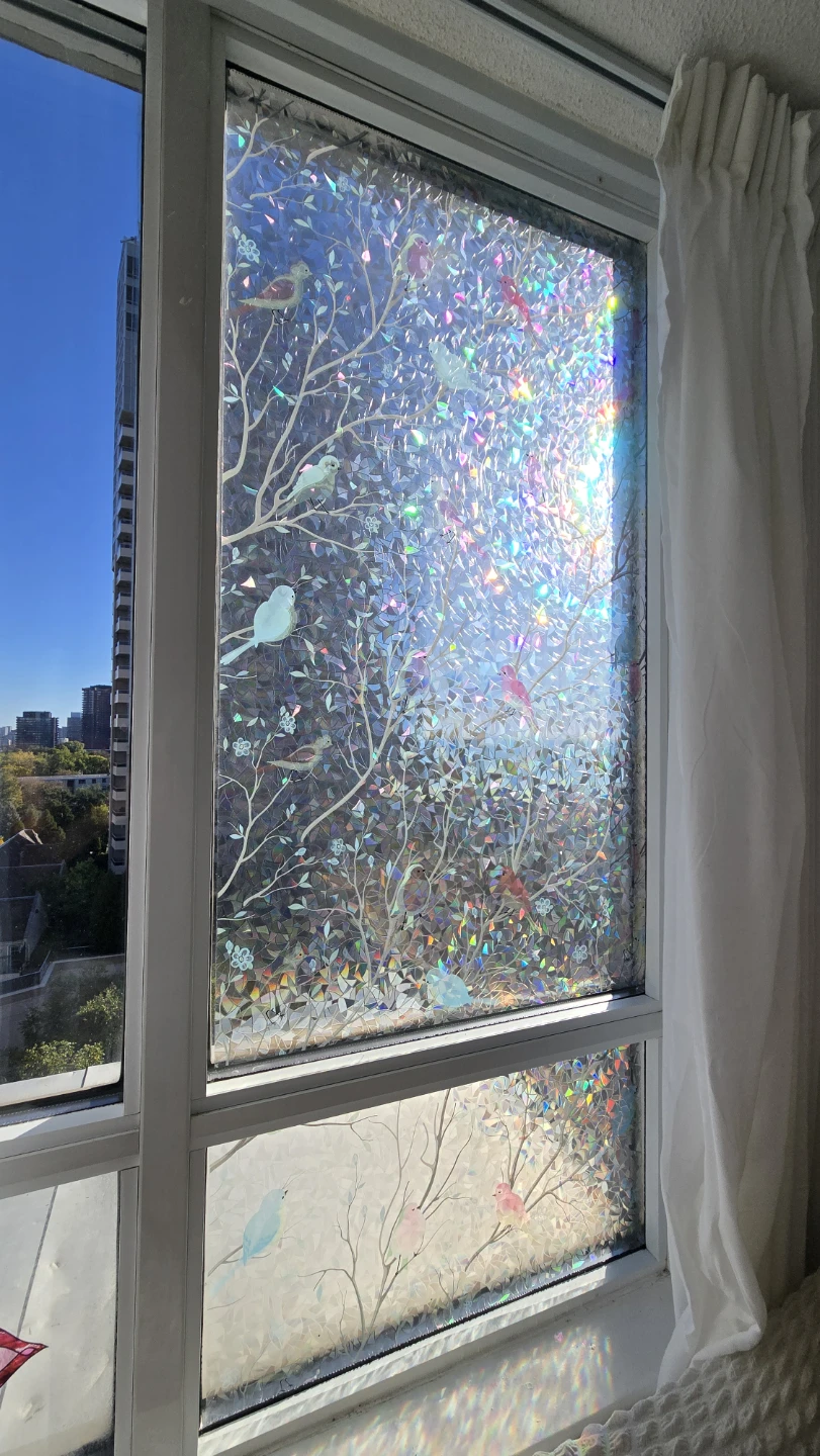 Static Window Privacy Films with Bird Design