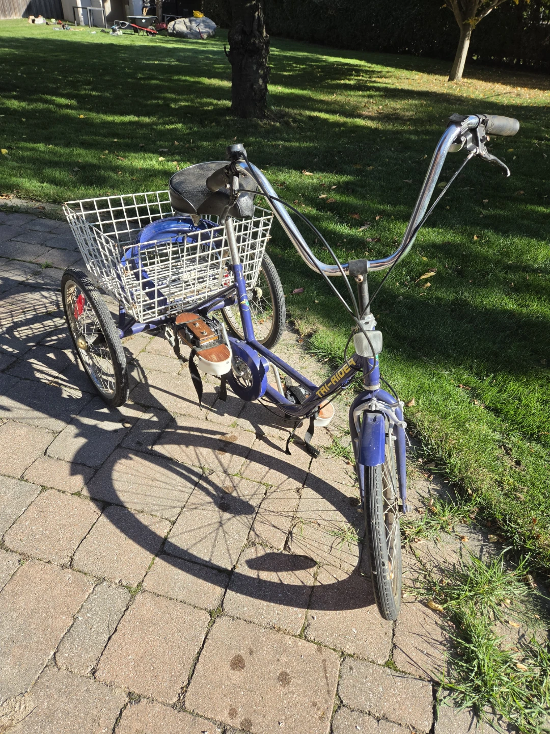 Tri-Rider Adult Tricycle - Blue