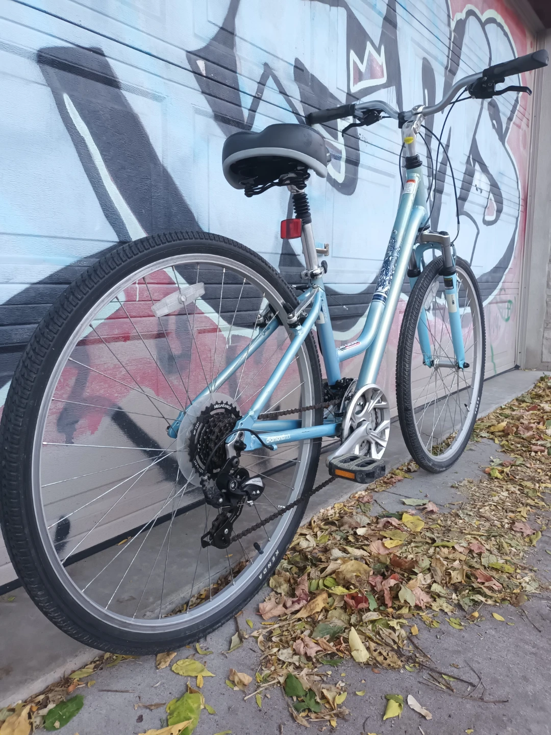 Diamondback Small Frame Bike - photo 3