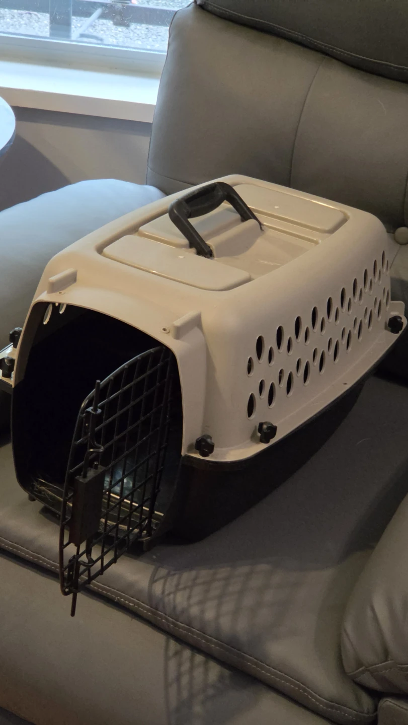 Small Hard Sided Pet Carrier