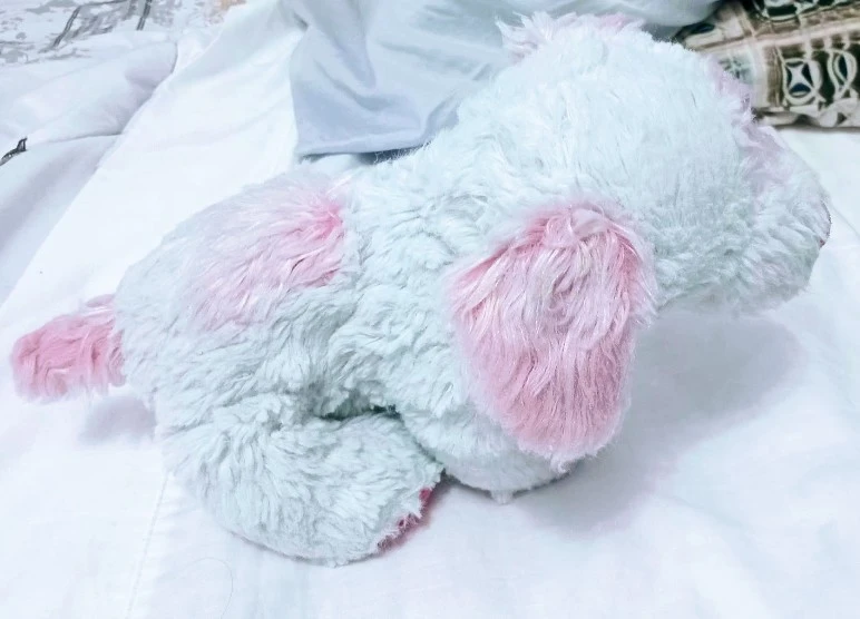 Rare HTF Webkinz Cream Soda Pup Ganz Retired. - photo 2