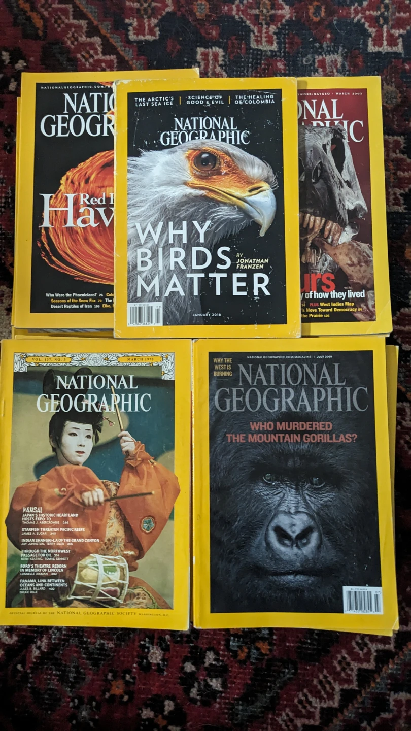 Collection of 23 National Geographic Magazines - photo 3