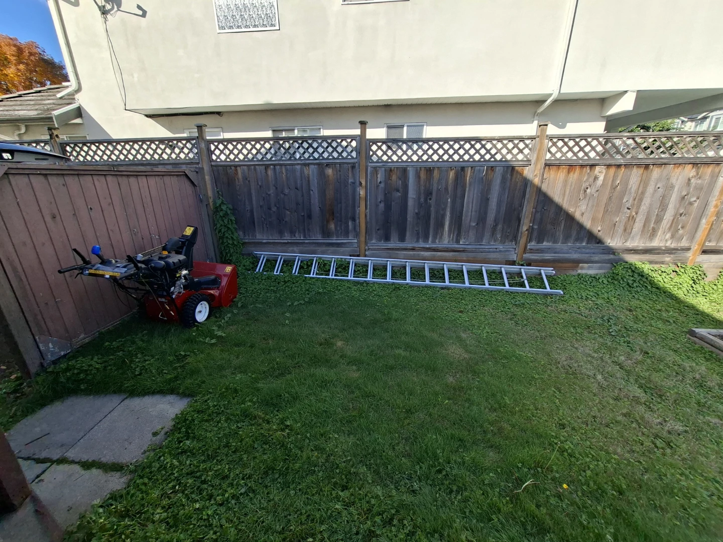 Aluminum Extension Ladder
