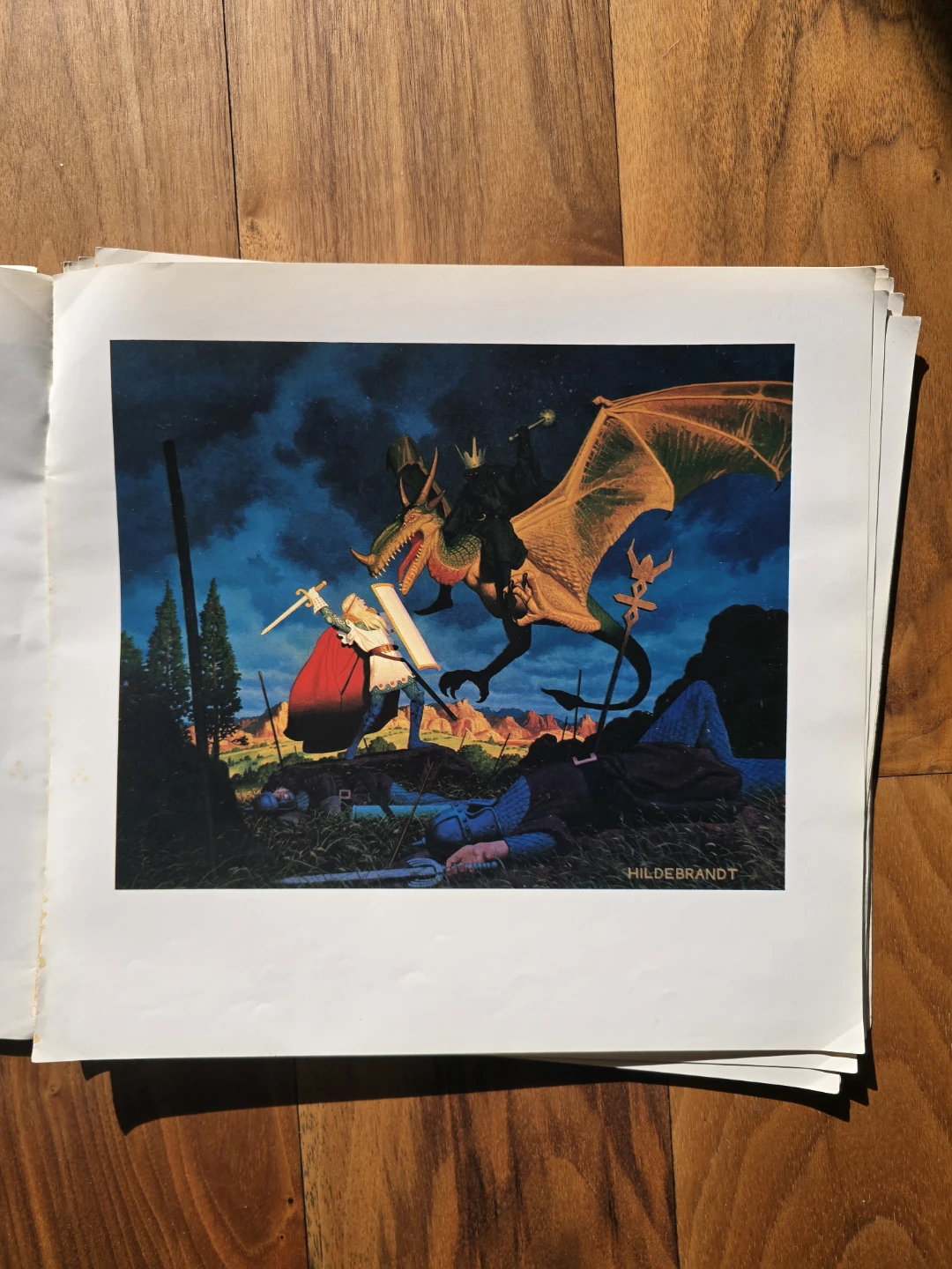 The Art of the Brothers Hildebrandt - photo 2