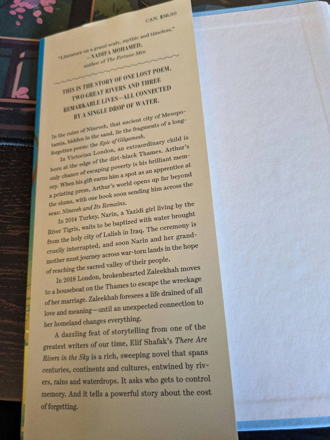 There Are Rivers in the Sky by Elif Shafak - photo 2