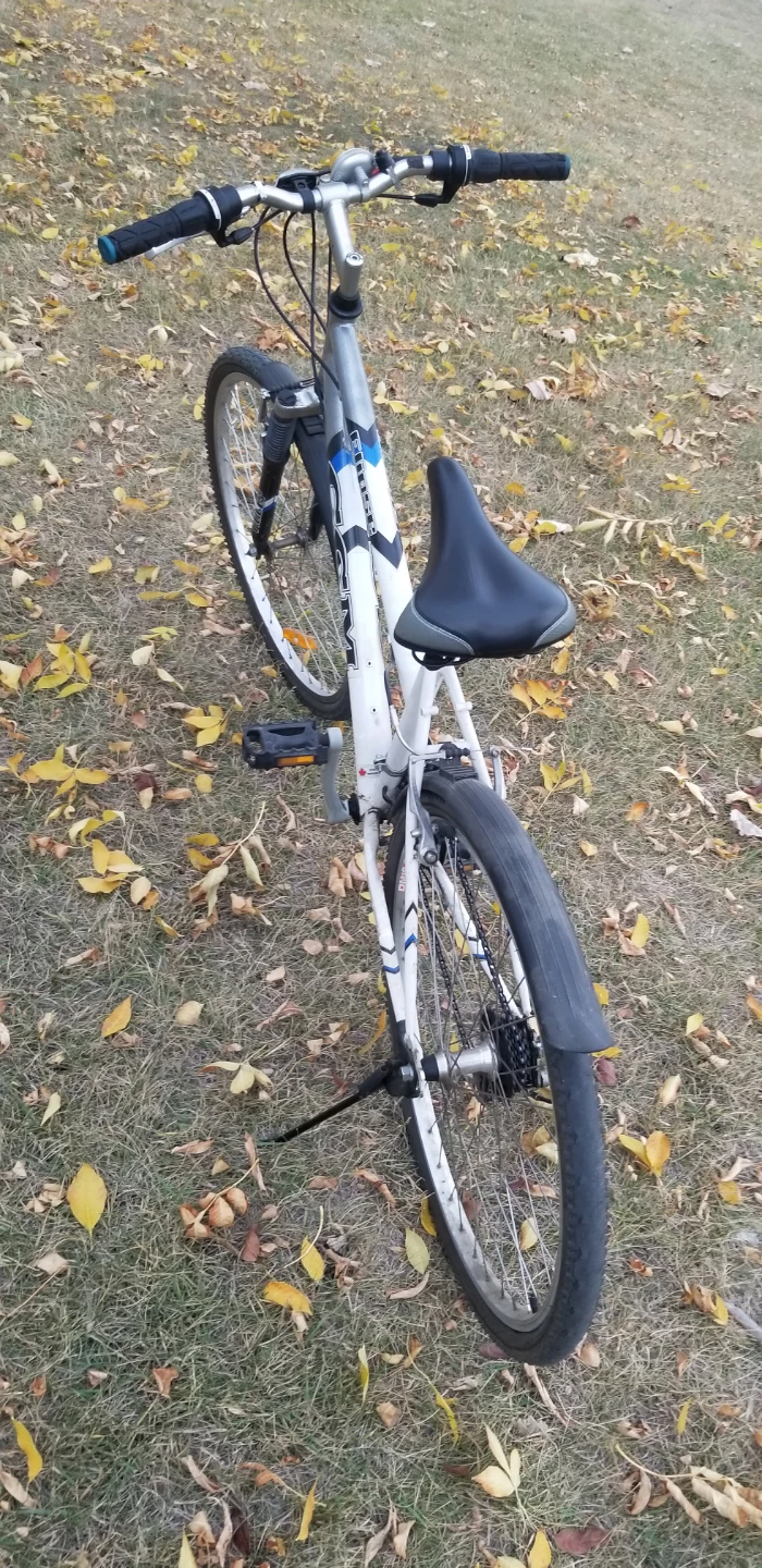 CCM Ellipse Bicycle - photo 2