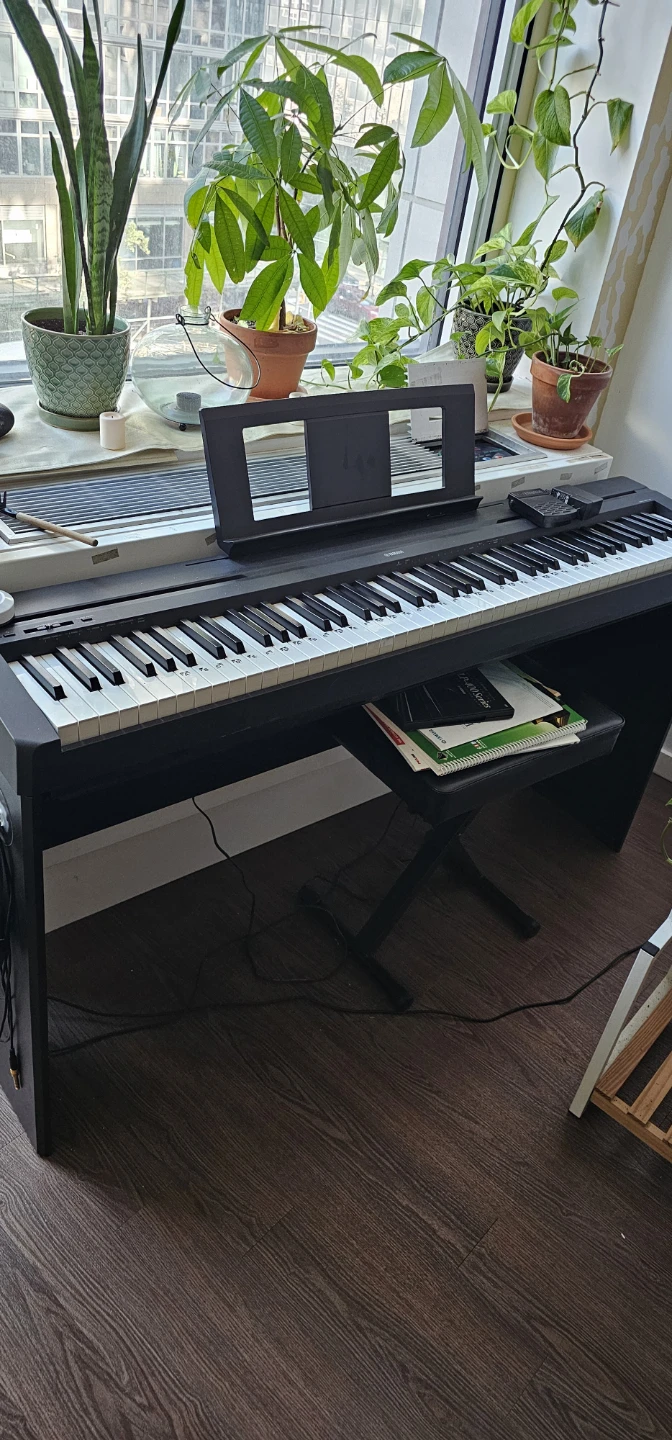 Yamaha P-45 Digital Piano - photo 3