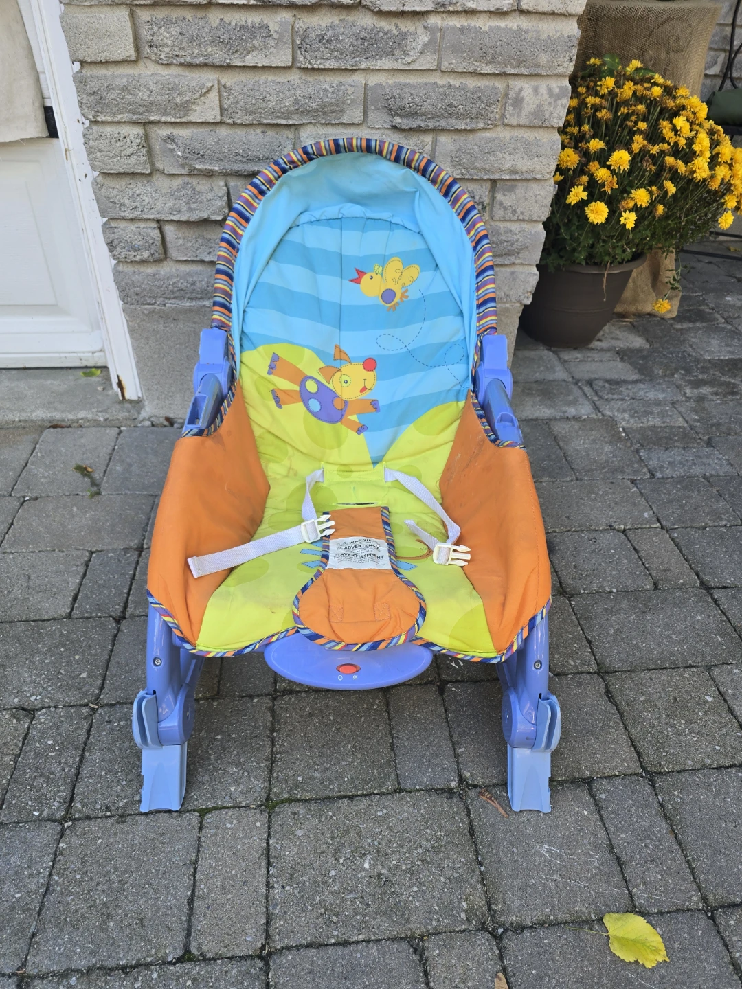 Baby Bouncer and Rocker