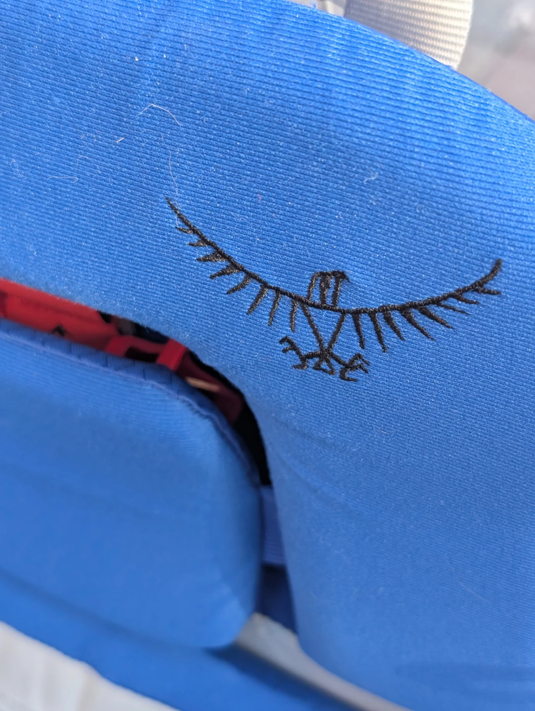 Osprey Poco Plus Child Carrier - photo 4