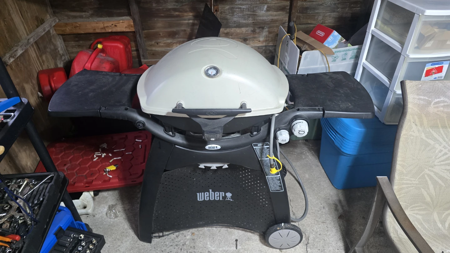 Weber Q Series Portable Gas Grill