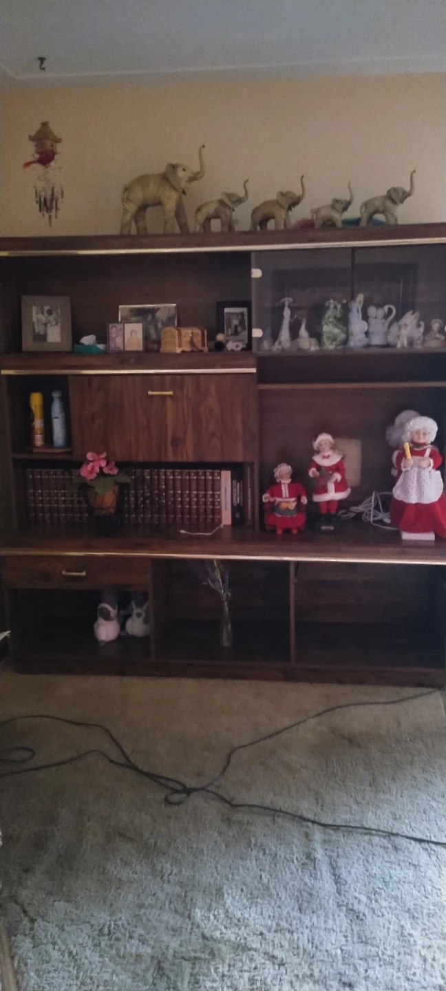Large Wooden Wall Unit Display Cabinet