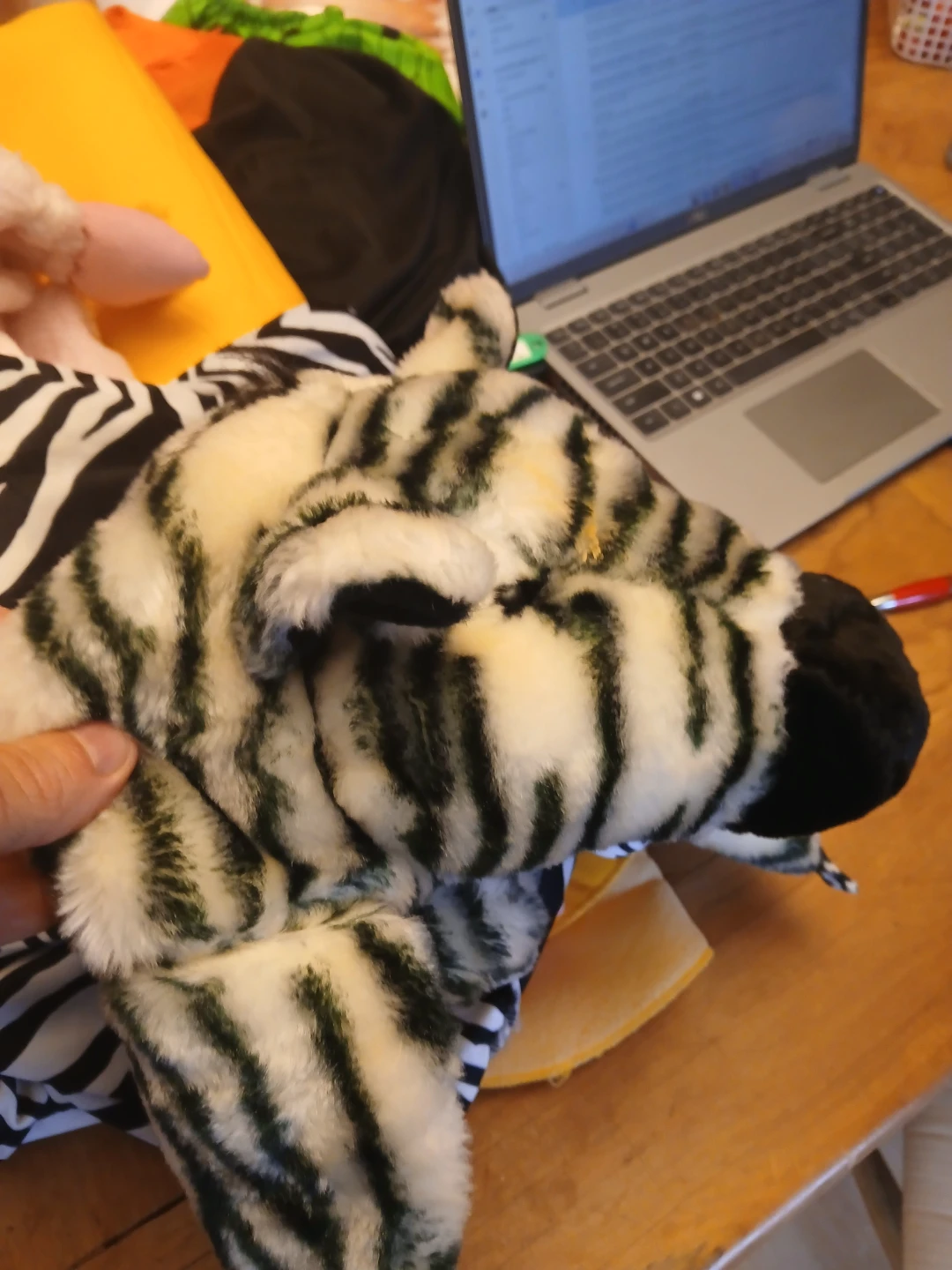 Zebra Halloween Costume