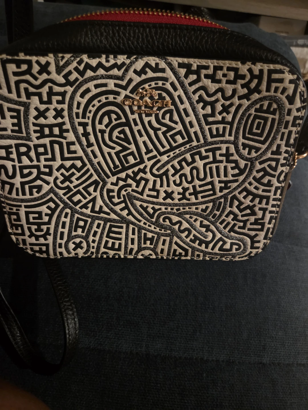 Coach Camera Bag in Graphic Print - photo 2