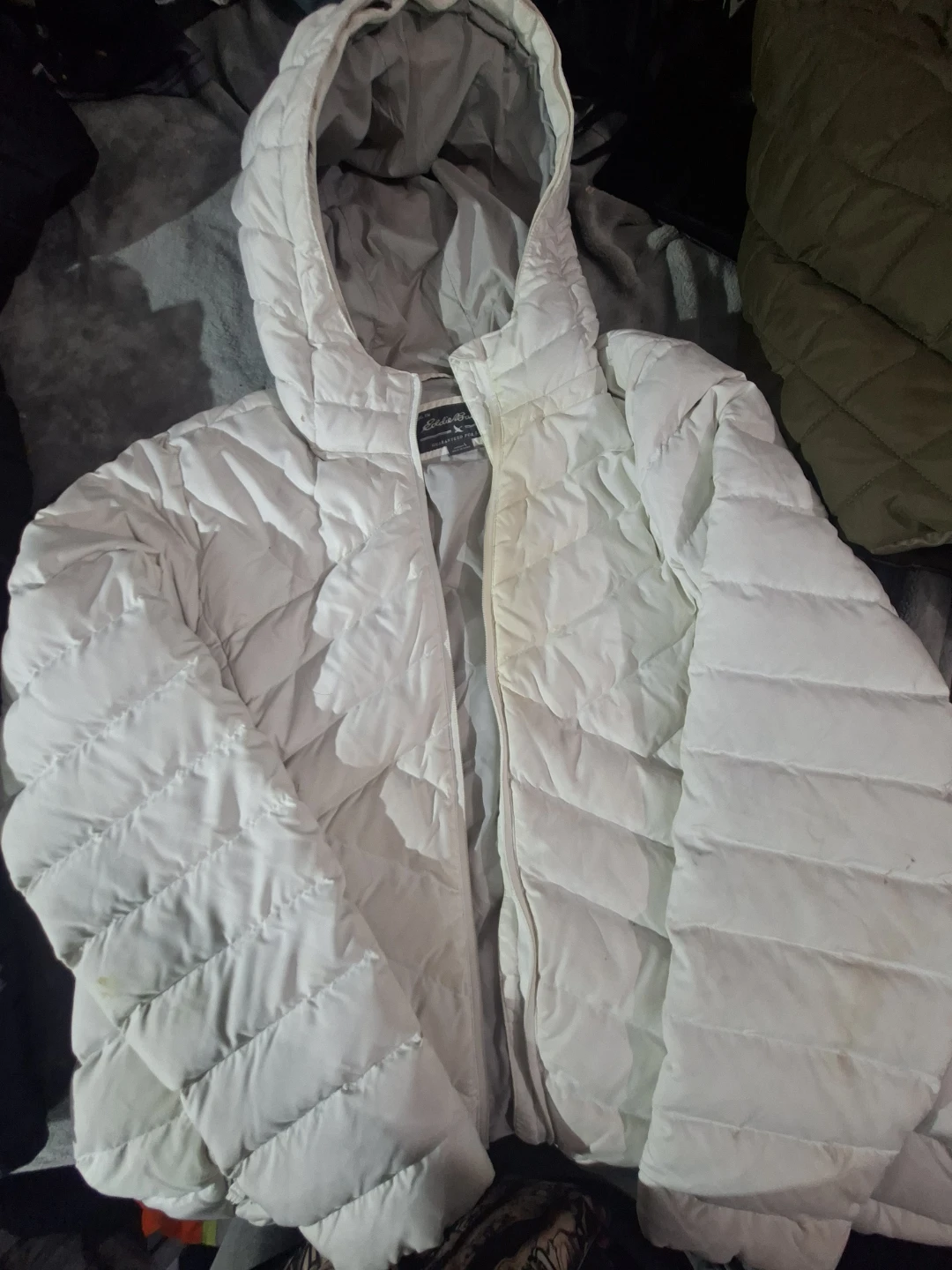 Eddie Bauer Women's Down Hooded Jacket