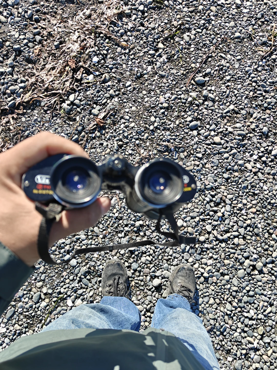 Vixen 12x40 Wide Z Type Binoculars - photo 3