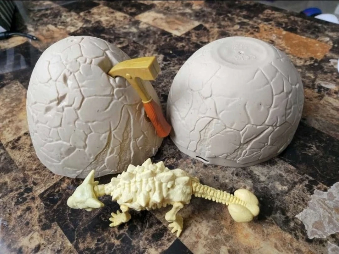 Like New T-Rex Fossil Find Dinosaur Digging Kit $10 Firm - photo 3