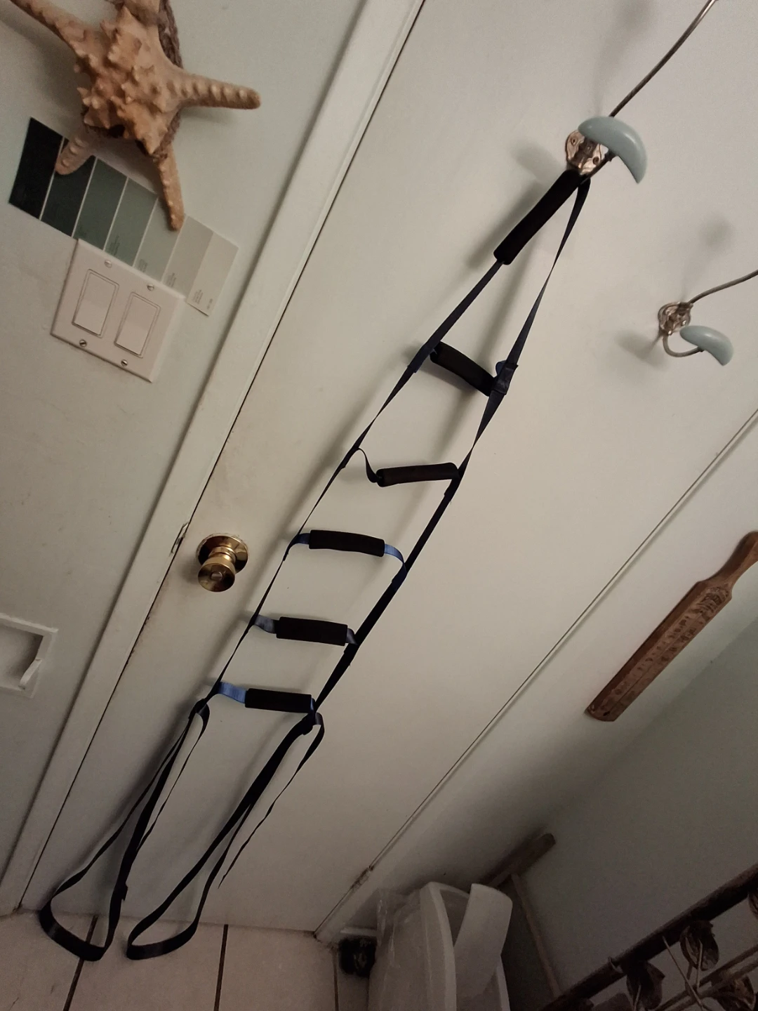 Bed Assist Ladder Strap