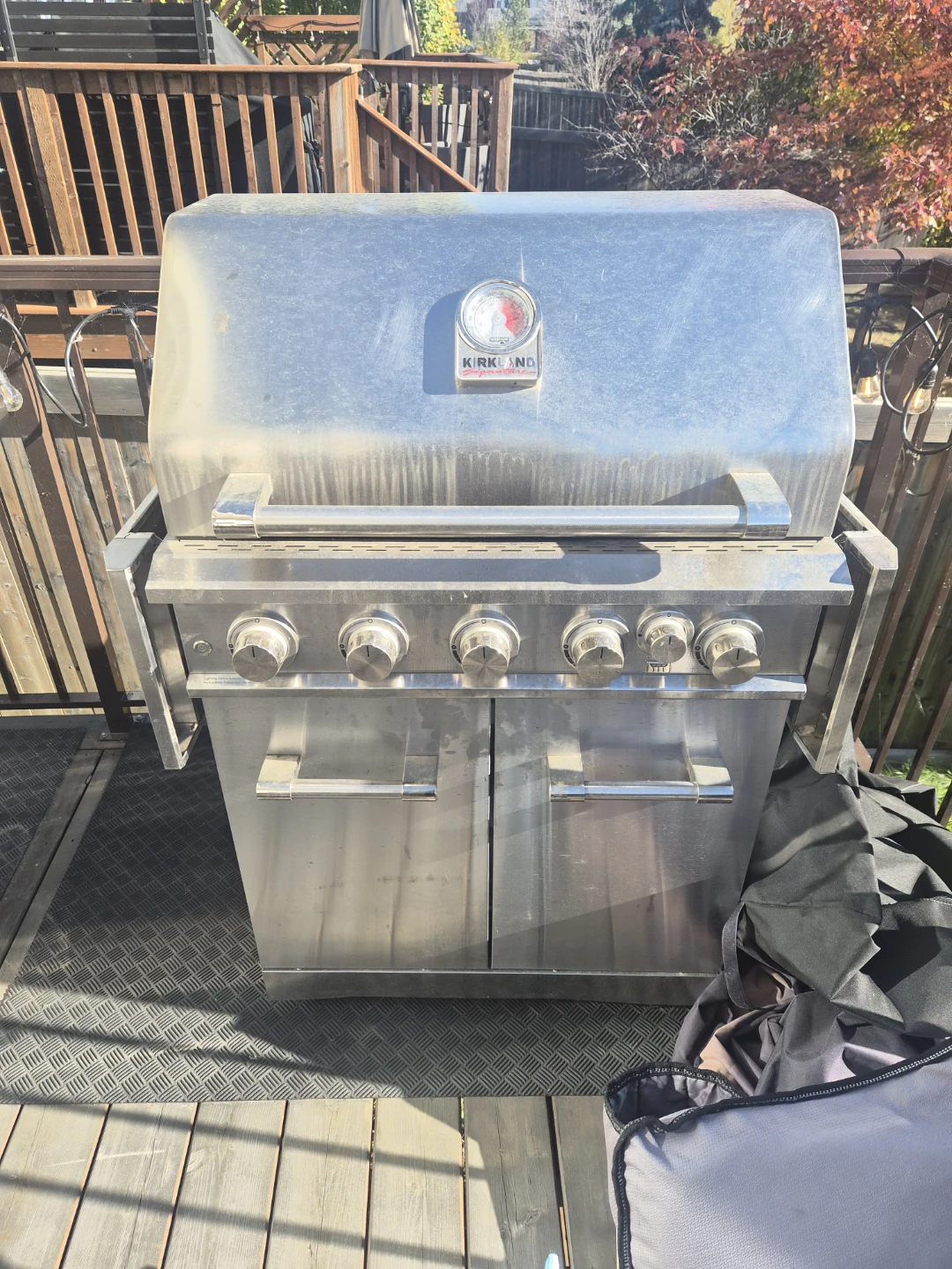 Kirkland Signature 5-Burner Gas Grill