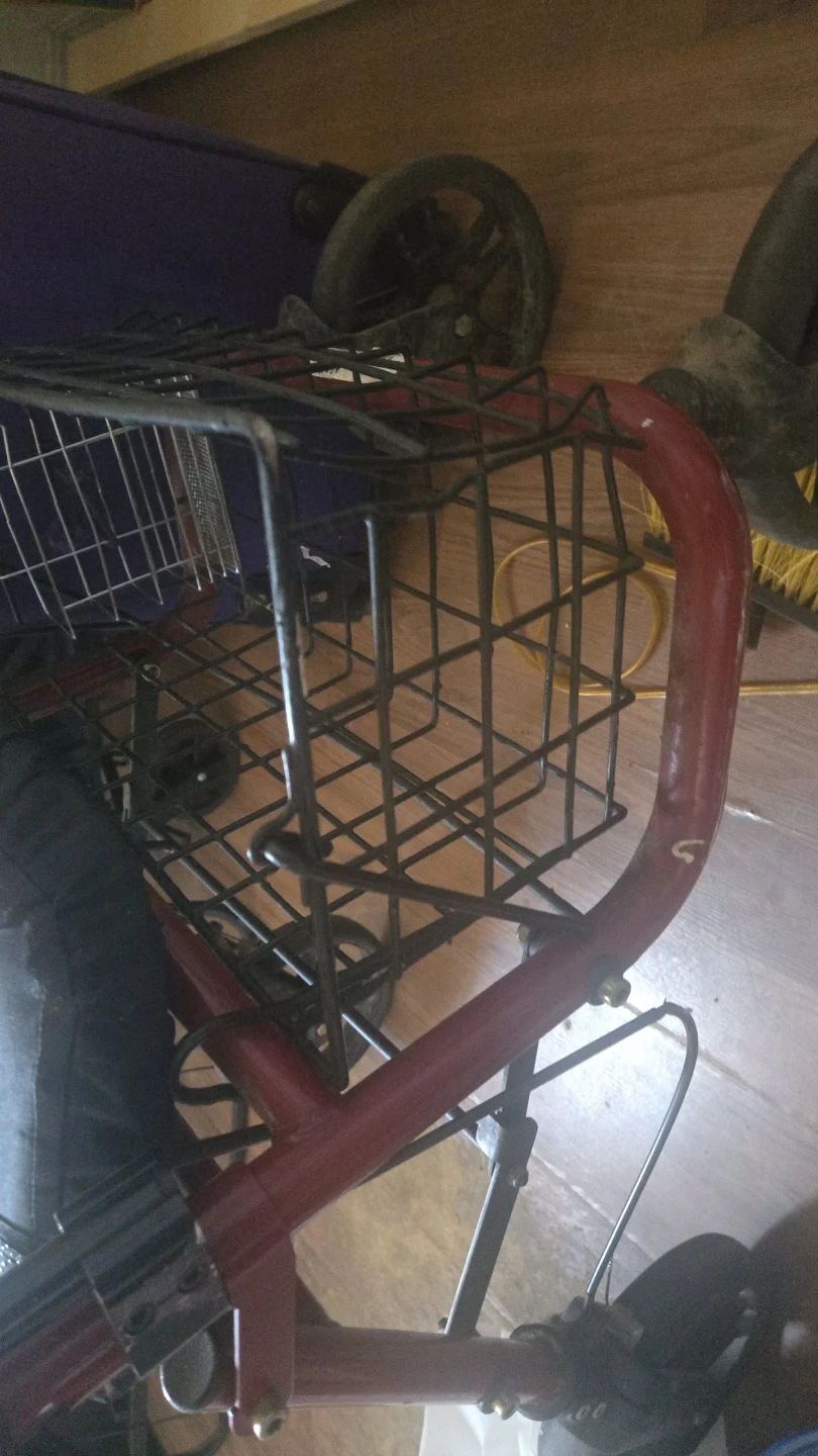 Evolution Walker mobility aid - photo 4