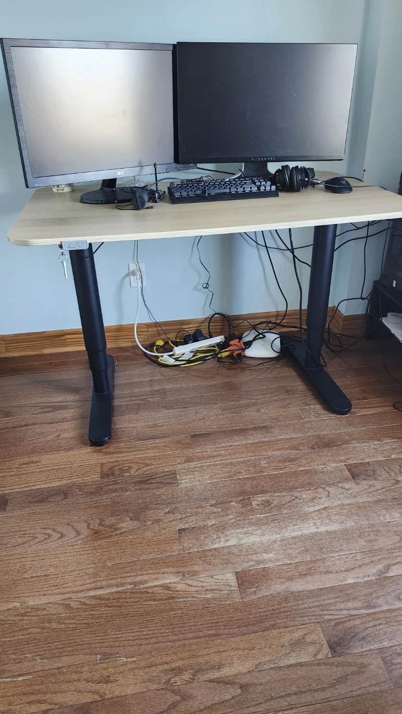 Adjustable Standing Desk ( moving out)
