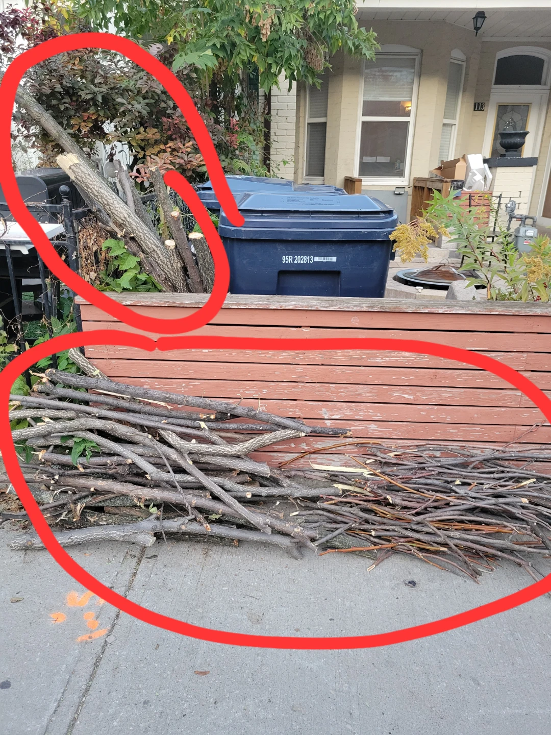 Free firewood Natural tree branches and twigs - photo 2