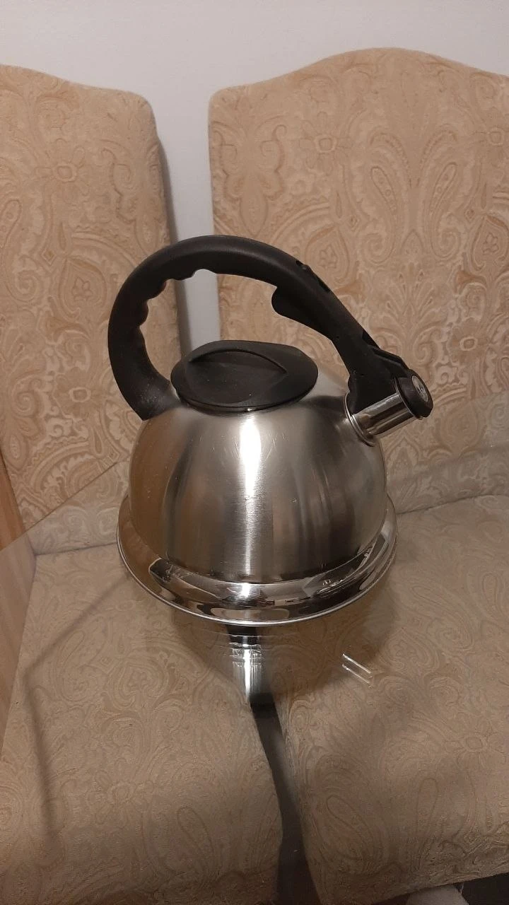 Primula Stainless Steel Stovetop Kettle
