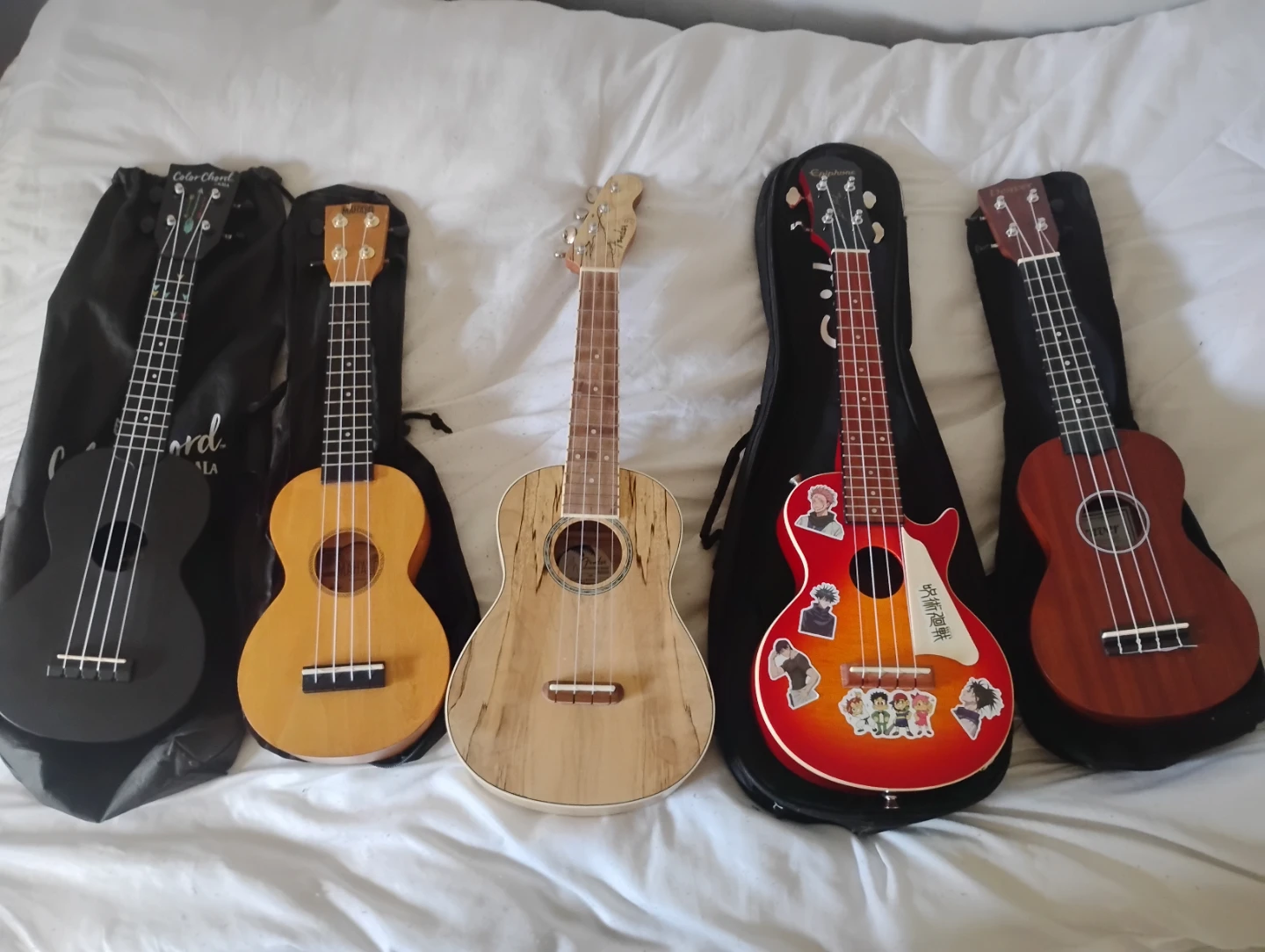 Collection of Five Ukuleles with Carrying Cases