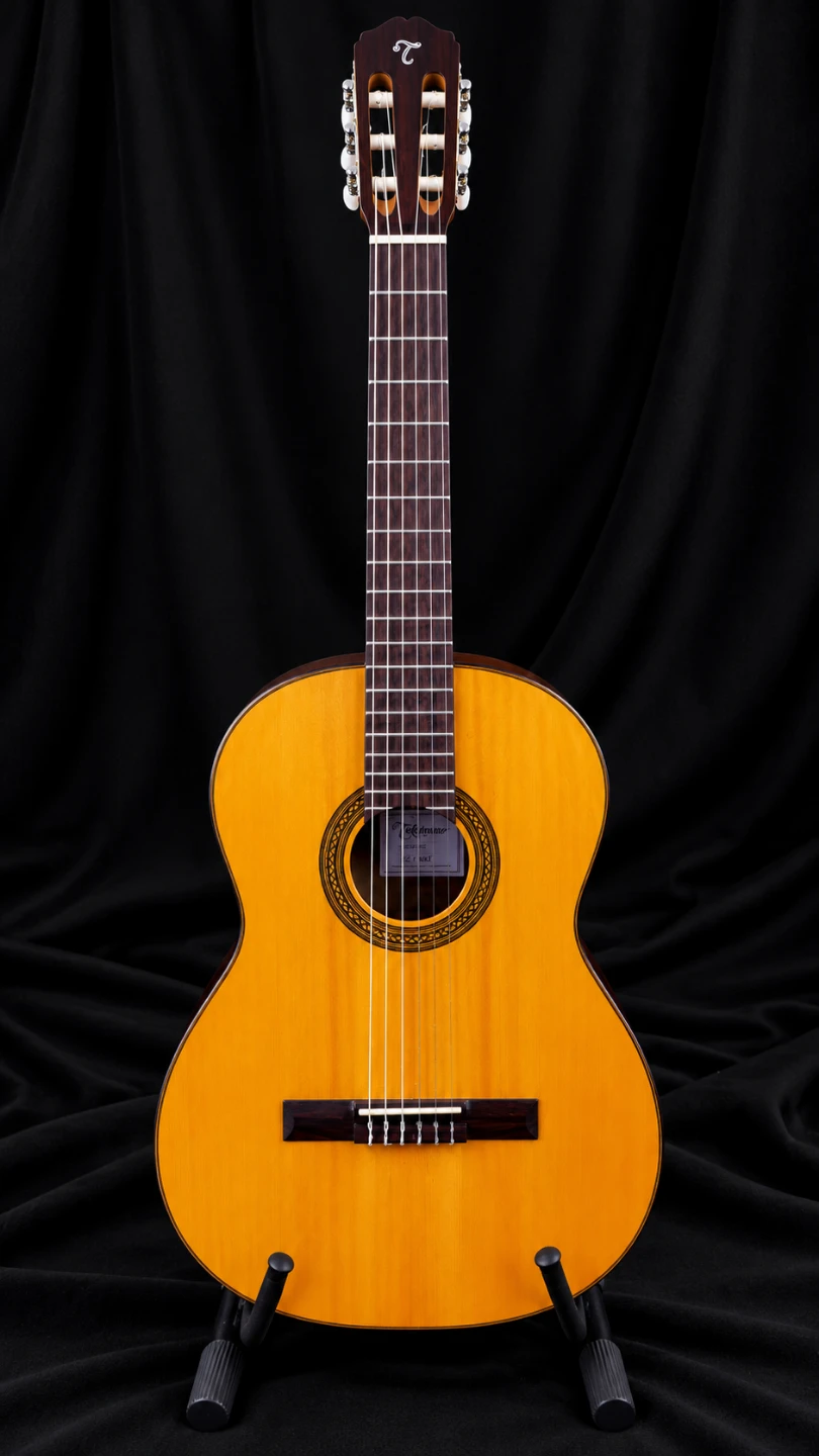 Takamine GC1-NAT nylon-string classical guitar Mint Condition