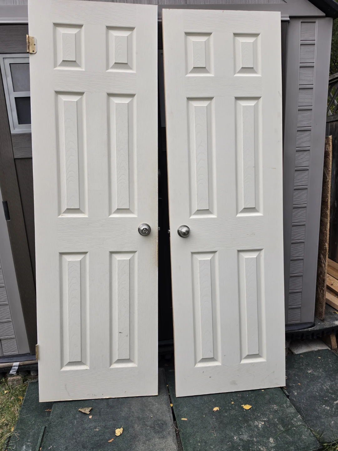 Two 6-Panel Interior Doors