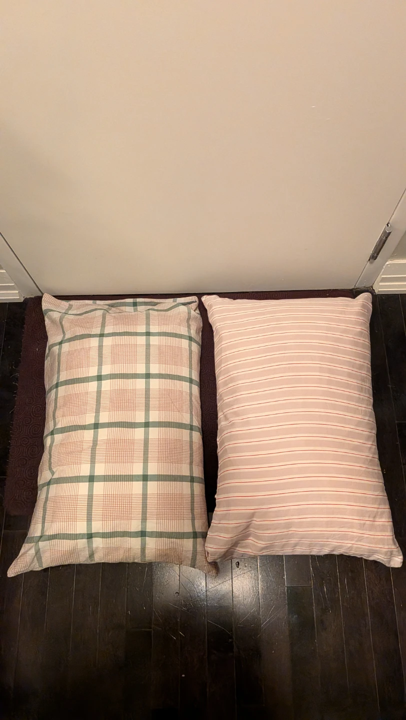 Two Sealy Posturepedic Pillows with Cades - photo 3