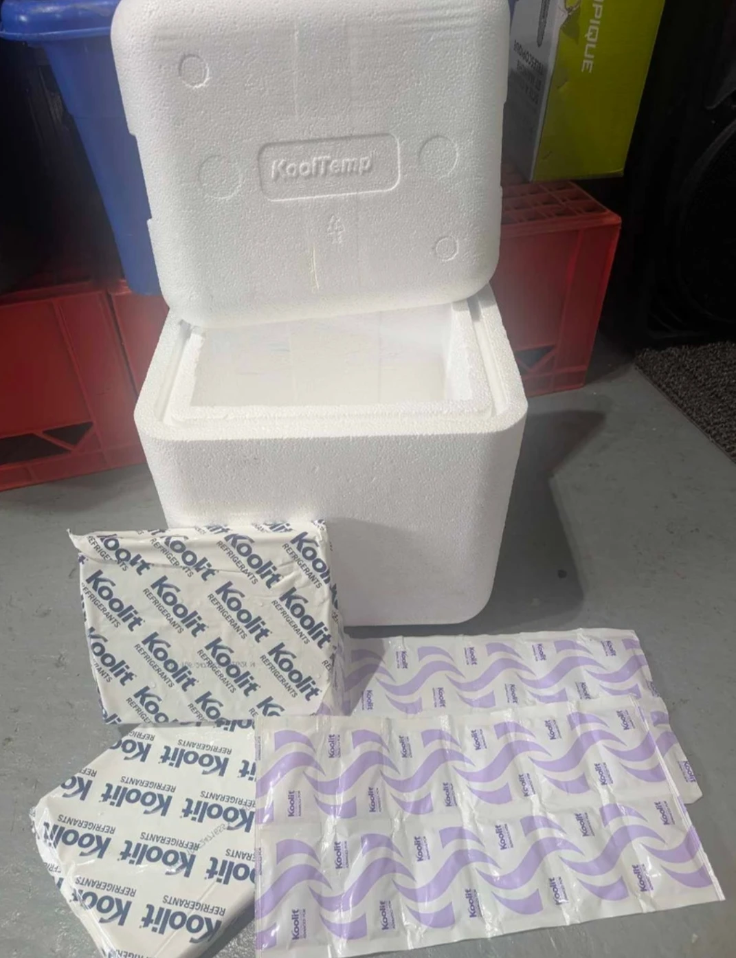 EUC - KoolTemp Styrofoam Cooler with Reusable Ice Packs