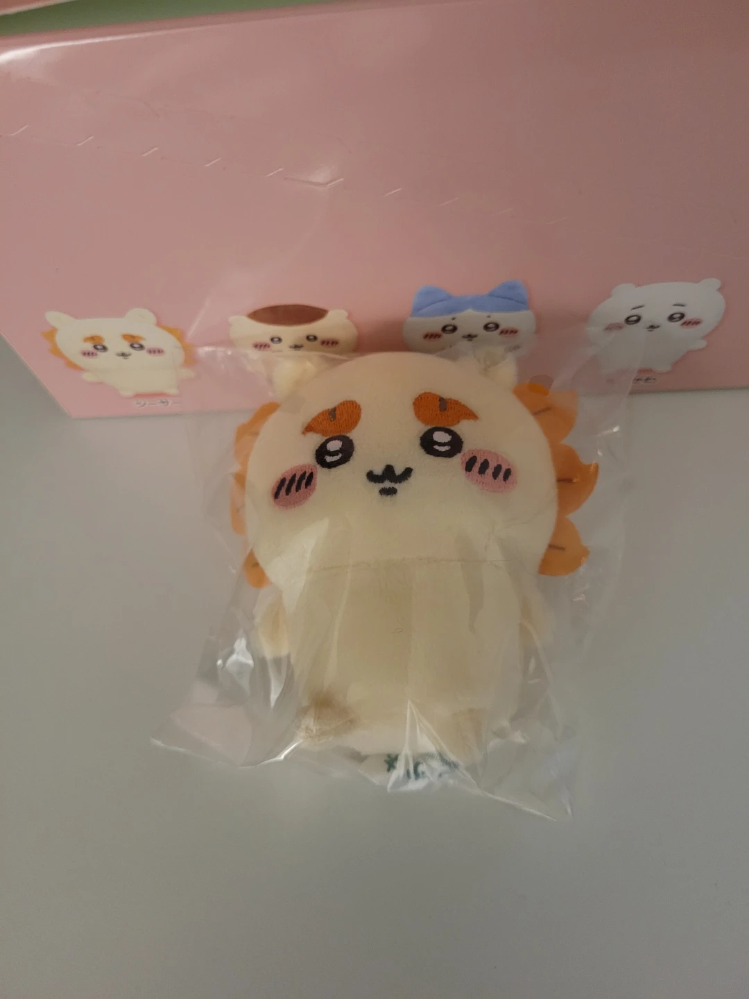 Shisa from Chiikawa Sitting Plush Blind Box