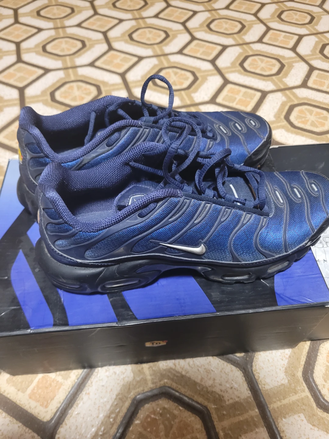 Nike Air Max Plus Navy Sneakers