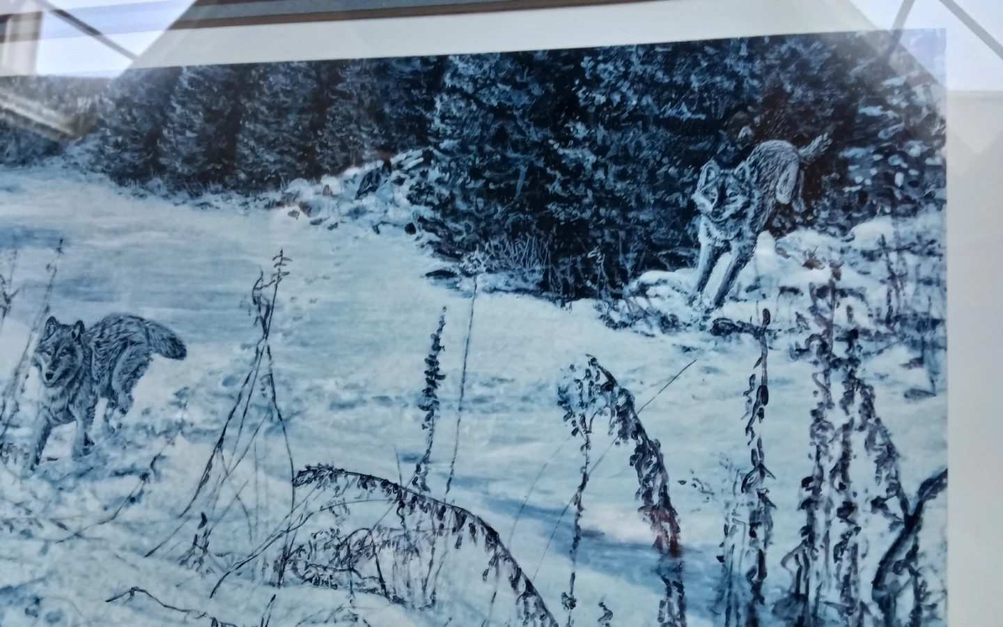 Paul Rankin Framed Wolf Print 1994 - photo 3