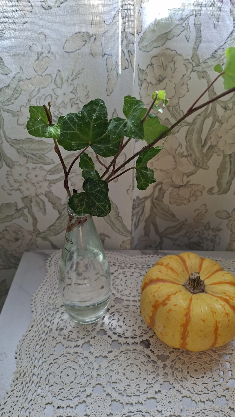 Small Clear Glass Bud Vase with Ivy Plant - photo 2