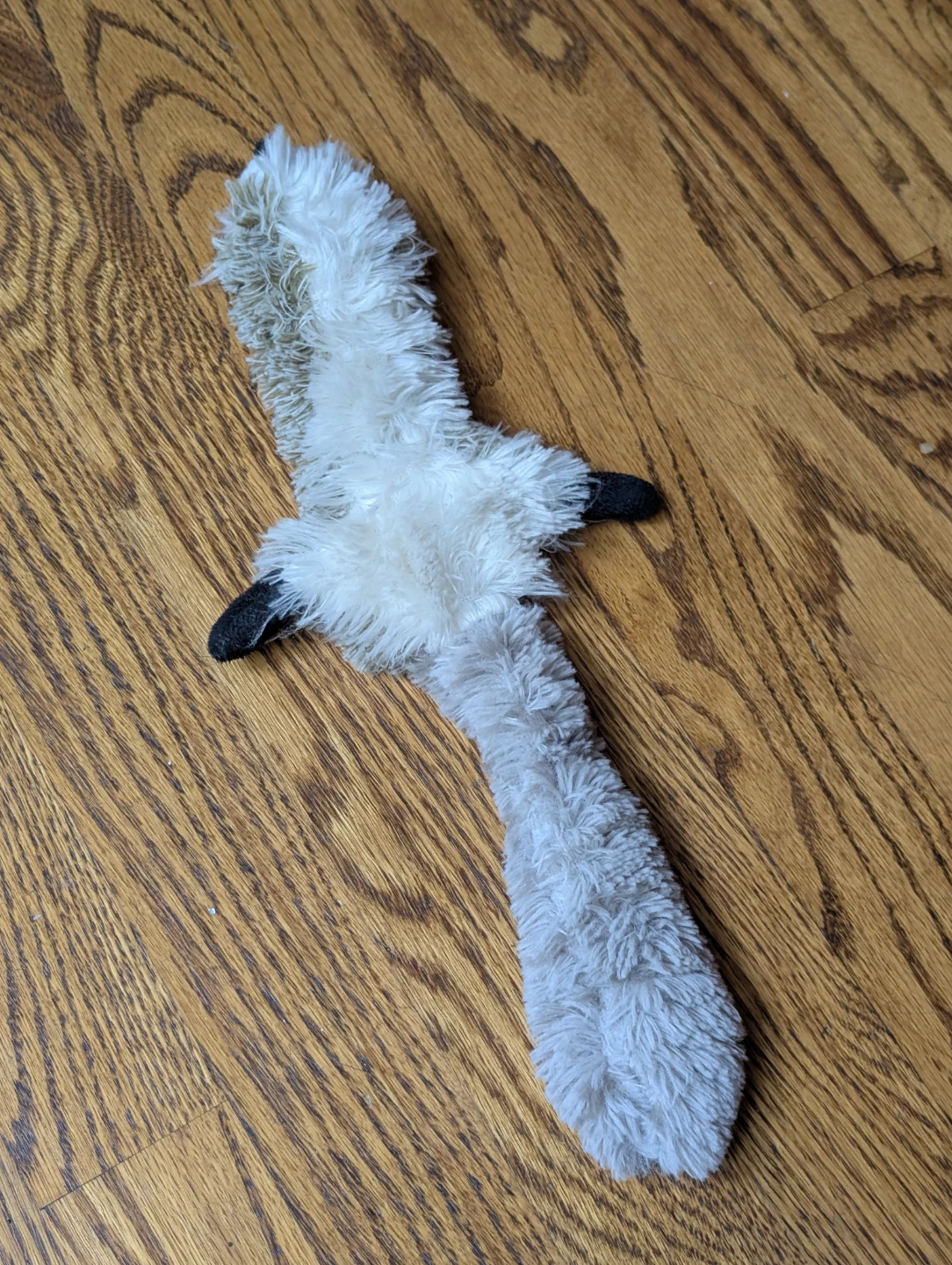 Flat Raccoon Plush Dog Toy - photo 2