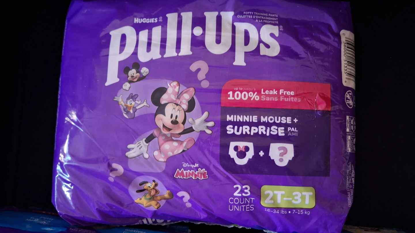 NEW 3 Packs HUGGIES Pull Ups 2T-3T Total 69 count - photo 2