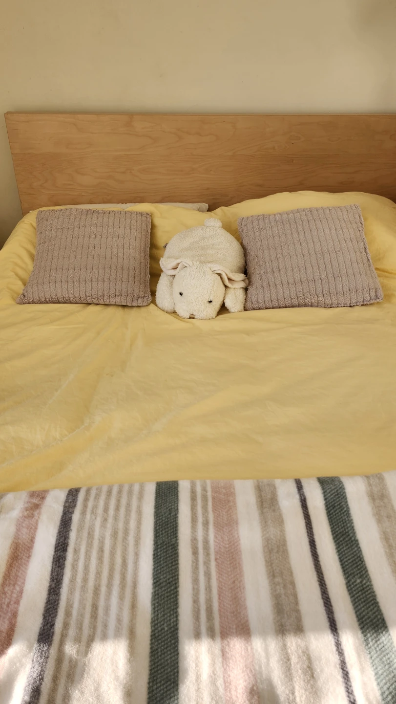 IKEA MALM Bed Frame with Storage Queen Size - photo 2