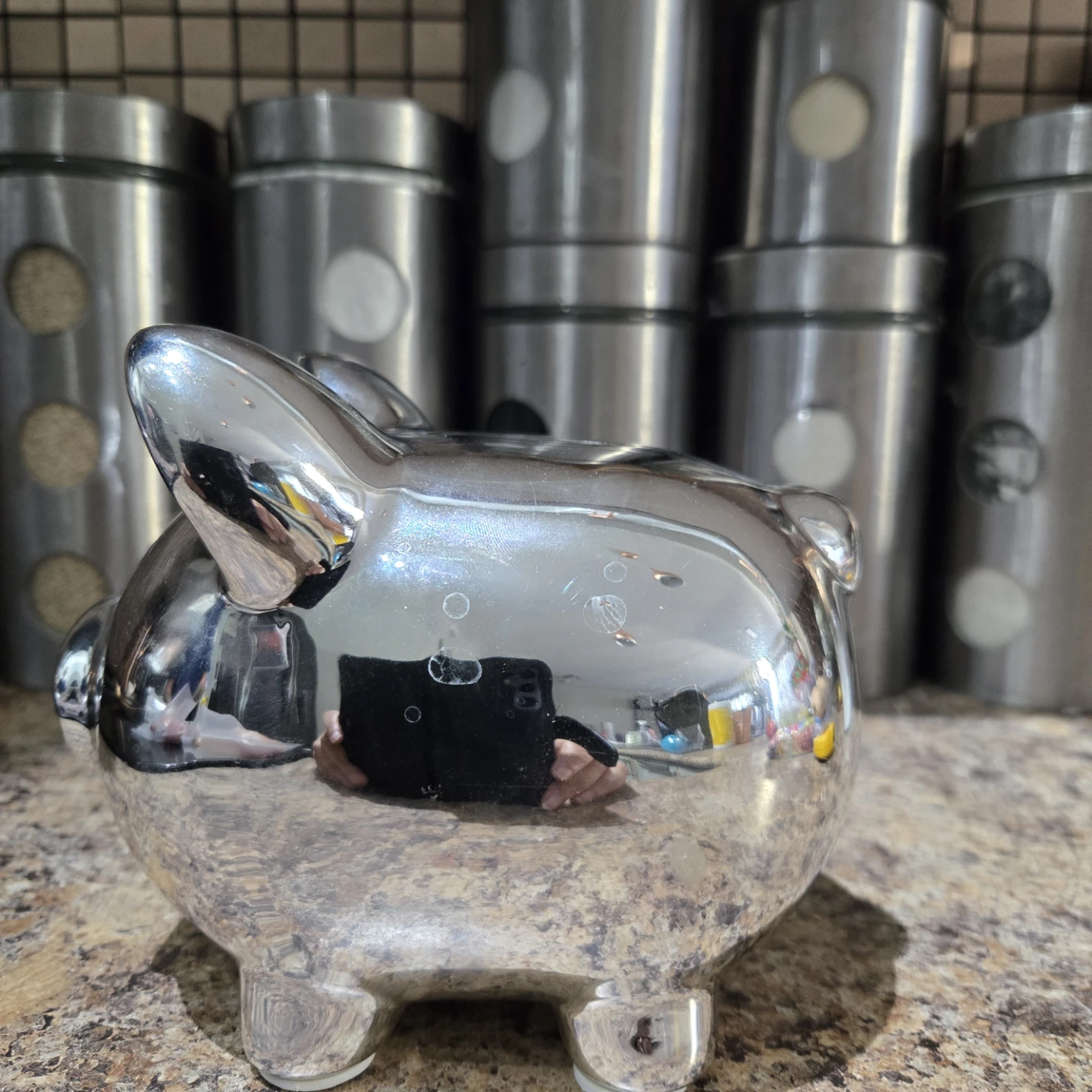 Silver Piggy Bank