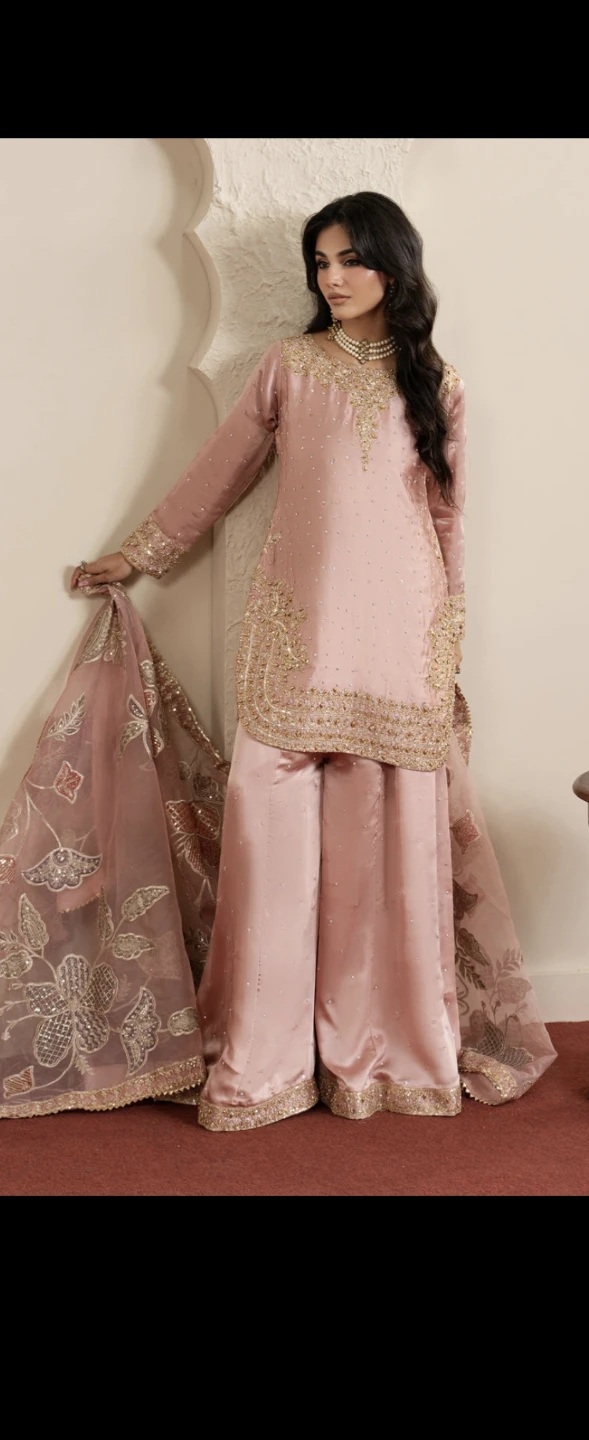 New Pakistani Dress - photo 2