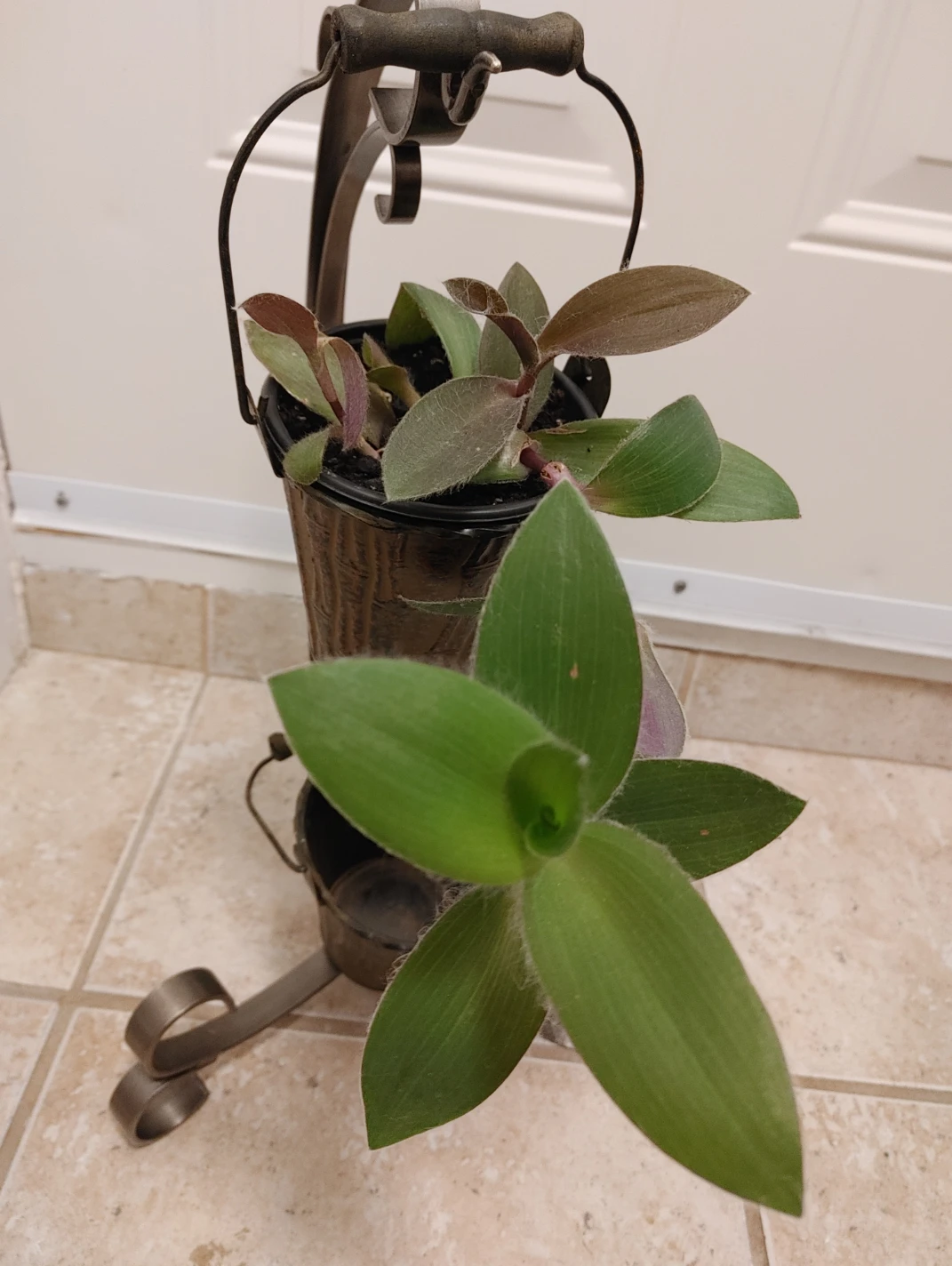 Double Hanging Plant Stand - photo 4