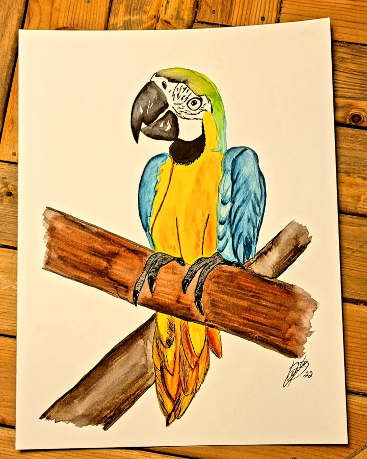 Watercolor Paintings Artwork - photo 5