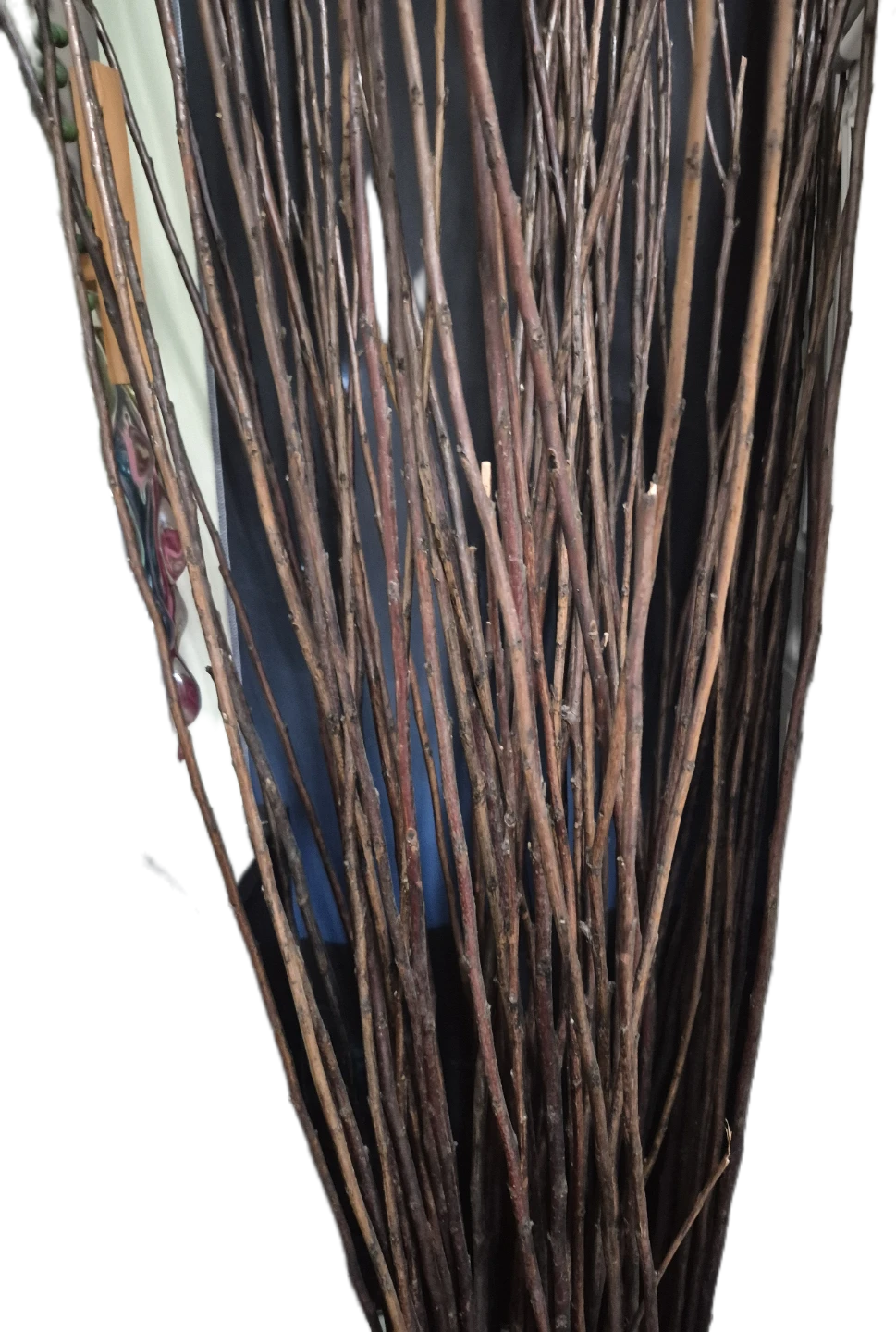 Decorative Dried Willow Branches - photo 3