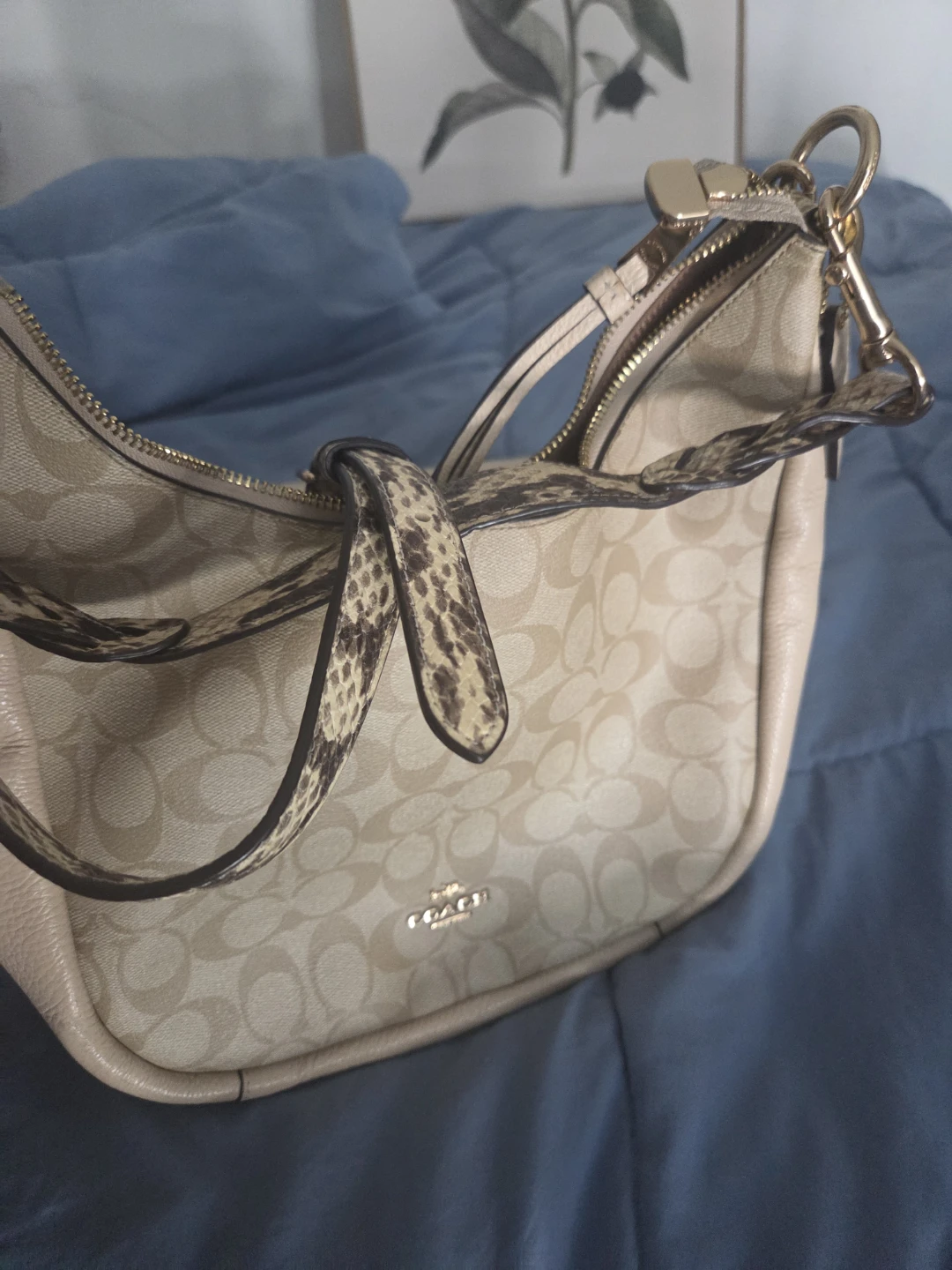 Coach Signature Hobo Bag with Snakeskin Detail - photo 4