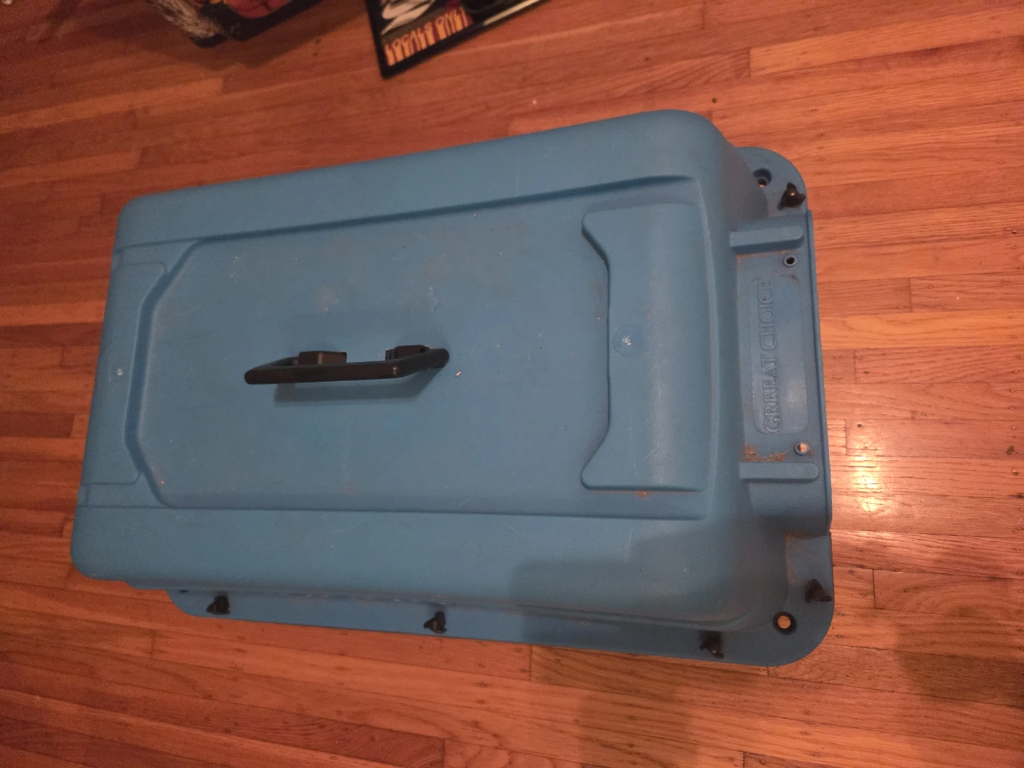 Cat/Small Dog/Pet Carrier - photo 3