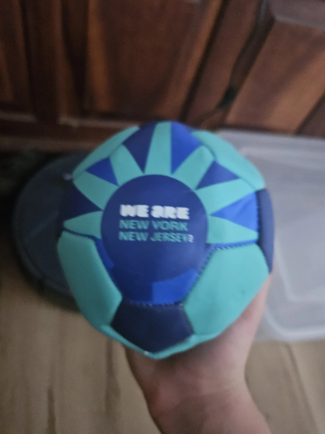 We Are New York New Jersey 2026 Soccer Ball